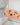 [MUZIK TIGER] tiger slim rug 2色 インテリア ホーム装飾 ホームデコ 贈り物 - コクモト KOCUMOTO