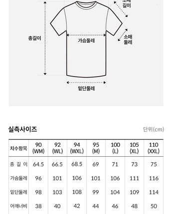 [THE NORTH FACE] PO TEAMKOREA ICE DAY S/S R/TEE/R (OT7UQ19A) 新商品 男女共用 - コクモト KOCUMOTO