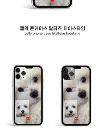 [WAIKEI] Jelly phone case maltese facetime 透明ゼリーフォンケース / iPhone前機種 - コクモト KOCUMOTO