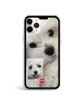 [WAIKEI] Jelly phone case maltese facetime 透明ゼリーフォンケース / iPhone前機種 - コクモト KOCUMOTO