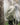 [as on] BREEZE NYLON WINDBREAKER (3color) 韓国人気 韓国ファッション 新商品 ストリートファッション 男女共用 - コクモト KOCUMOTO