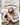 [DAPHNE] Square Toe Platform Slide/flip flops 4色 デイリー 女性の靴 - コクモト KOCUMOTO