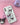 [HIGH CHEEKS] Kuromi Clear Case 新商品 韓国人気 IPHONE - コクモト KOCUMOTO