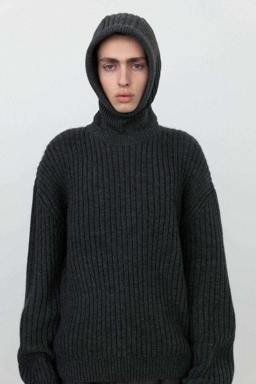 [IN SILENCE] ITALIAN Wool Ribbed Crew Neck Knit (DARK TAUPE) - コクモト KOCUMOTO