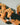 [MUZIK TIGER] Fortune Cookie Tiger Keyring 5種 バッグ キーホルダー 人形 キャラクター - コクモト KOCUMOTO