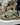 [TEVA] Hurricane XLT2 (GDO) SANDAL 25-29 新商品 男性用 韓国 - コクモト KOCUMOTO