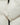 [THE NORTH FACE] NOVELTY NUPTSE DOWN JACKET_ CREAM (NJ1DP62L) グースダウン - コクモト KOCUMOTO