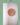 [ticktok studio] Oval leaf milk/brown interior Wall clock 2色 韓国の人気 ホームデコ 贈り物 - コクモト KOCUMOTO