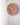 [ticktok studio] Oval tree needles Interior Wall clock 2色 韓国の人気 ホームデコ 贈り物 - コクモト KOCUMOTO