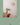 [ticktok studio] Oval tree needles Interior Wall clock 2色 韓国の人気 ホームデコ 贈り物 - コクモト KOCUMOTO