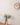 [ticktok studio] Tom round tree needles Interior Wall clock 2色 韓国の人気 ホームデコ 贈り物 - コクモト KOCUMOTO
