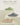 [TSH LIFE WEAR ] EVA Bubble Acupressure Waterproof Slippers 4色 韓国人気 男女共用 SLIDE 23～27.5 指圧 トング 防水 バスルームシューズ - コクモト KOCUMOTO